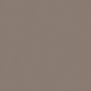 ash_grey 768x768 1