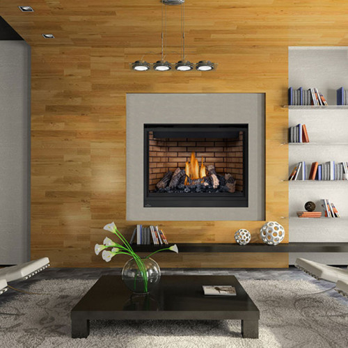 High Definition 46 Gas Fireplace