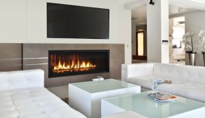 Rhapsody 54" Linear Fireplace - Astria